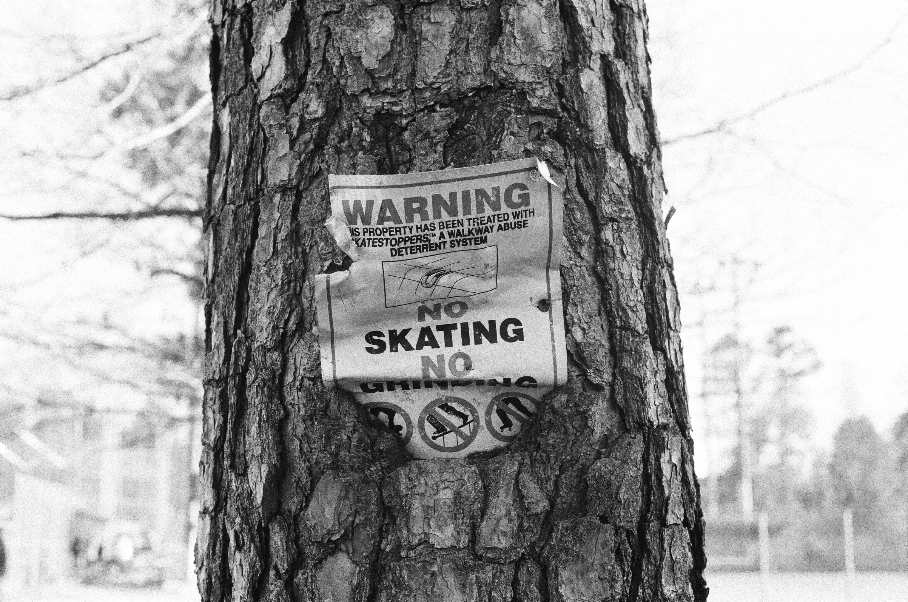 No Skating